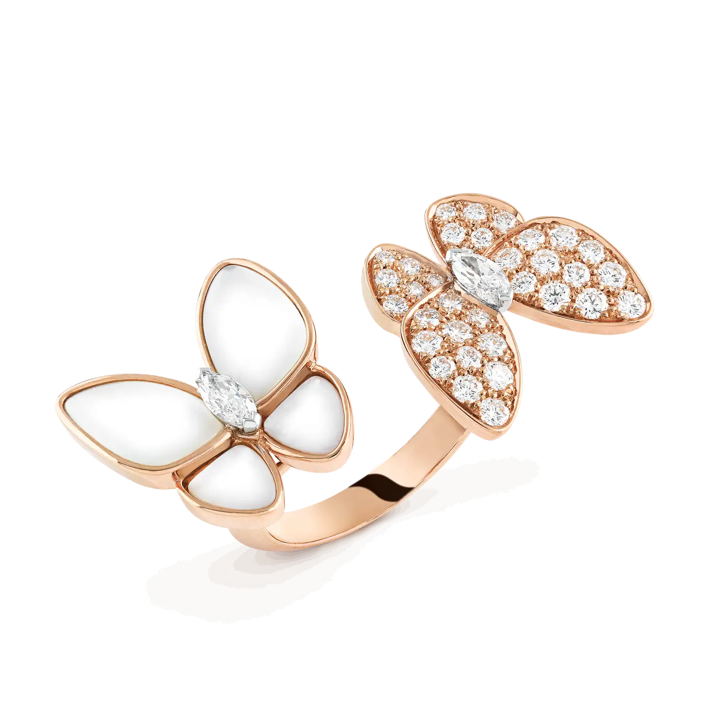 Fauna